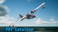 PBY 5A Catalina, US Navy Early Camo